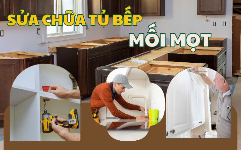 Dịch vụ sửa chữa tủ bếp bị mối mọt TPHCM ngay tại nhà uy tín